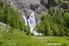 lactseuzier_170617_-(73)