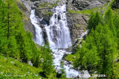 lactseuzier_170617_-(74)