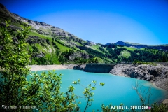 lactseuzier_170617_-(8)