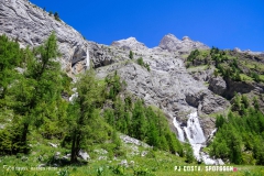 lactseuzier_170617_-(80)