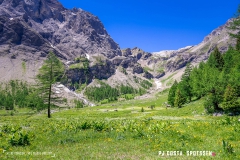 lactseuzier_170617_-(83)