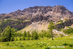 lactseuzier_170617_-(84)