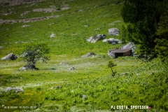 lactseuzier_170617_-(87)
