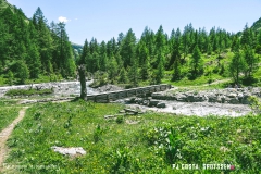 lactseuzier_170617_-(90)