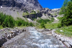 lactseuzier_170617_-(91)