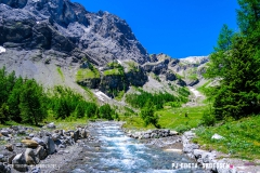 lactseuzier_170617_-(92)