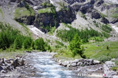 lactseuzier_170617_-(93)