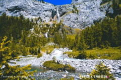lactseuzier_170617_-(94)
