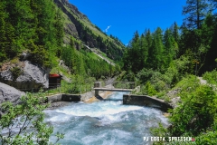 lactseuzier_170617_-(95)