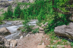 lactseuzier_170617_-(96)