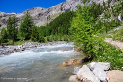 lactseuzier_170617_-(97)