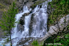 lactseuzier_170617_-(99)