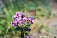 laclouvie_170708_-(10)