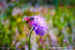 laclouvie_170708_-(12)