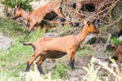 laclouvie_170708_-(19)