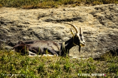 laclouvie_170708_-(22)