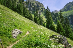 laclouvie_170708_-(23)