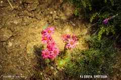 laclouvie_170708_-(29)