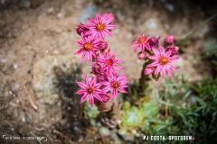 laclouvie_170708_-(30)