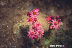 laclouvie_170708_-(32)