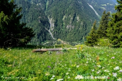 laclouvie_170708_-(37)