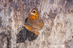 laclouvie_170708_-(43)