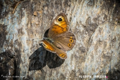 laclouvie_170708_-(44)