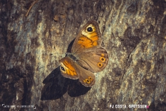 laclouvie_170708_-(45)