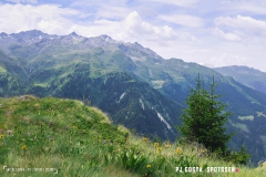 laclouvie_170708_-(49)