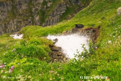 laclouvie_170708_-(50)