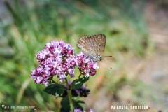 laclouvie_170708_-(9)