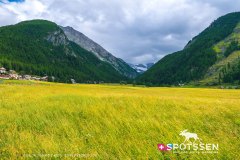 aoste_cogne_170701__-21