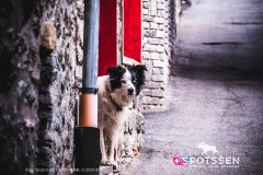 aoste_cogne_170701__-37