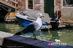 venise_170718__-191