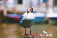 venise_170718__-253
