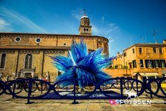venise_170718__-256