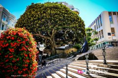 monaco_170724__-42