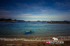 monaco_170724__-56