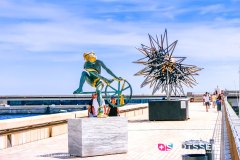 monaco_170724__-71