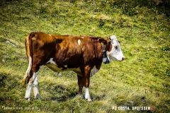ovronnaz_seya_170816_-(139)
