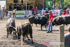 bagnes_combatsreines_170923_-10