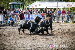 bagnes_combatsreines_170923_-13