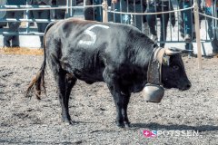 bagnes_combatsreines_170923_-14