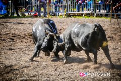 bagnes_combatsreines_170923_-16