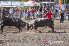 bagnes_combatsreines_170923_-17