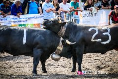 bagnes_combatsreines_170923_-18