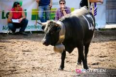 bagnes_combatsreines_170923_-21