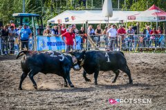 bagnes_combatsreines_170923_-22