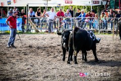 bagnes_combatsreines_170923_-23