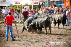 bagnes_combatsreines_170923_-26